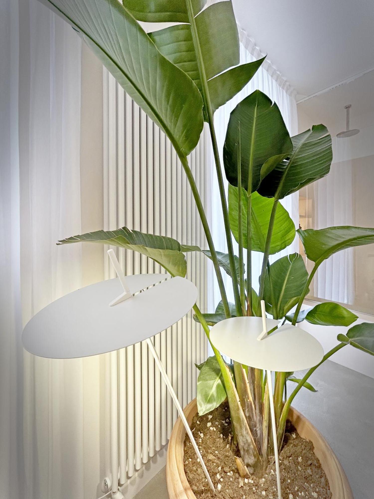 מונטרוסו אל מארה Allegra Suites מראה חיצוני תמונה